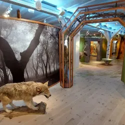 Kristianstad Museum - Kristianstad