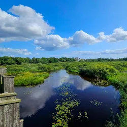 Naturum Vattenriket - Kristianstad