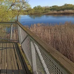 Vattenriket Biosphere Reserve - Kristianstad
