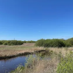 Vattenriket Biosphere Reserve - Kristianstad