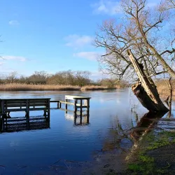 Vattenriket Biosphere Reserve - Kristianstad