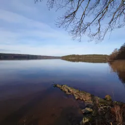 Lygnern Lake - Kungsbacka