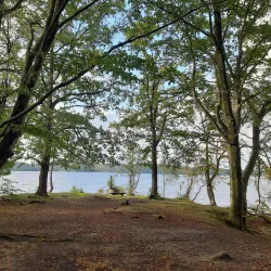 Lygnern Lake - Kungsbacka