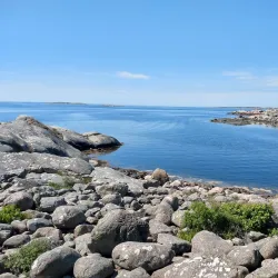 Särö Västerskog Nature Reserve - Kungsbacka