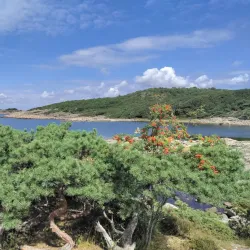 Särö Västerskog Nature Reserve - Kungsbacka
