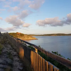 Särö Västerskog Nature Reserve - Kungsbacka