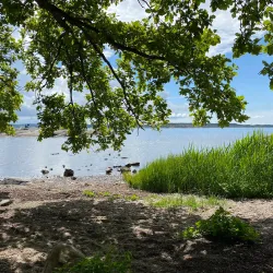Särö Västerskog Nature Reserve - Kungsbacka