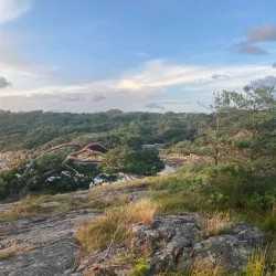 Särö Västerskog Nature Reserve - Kungsbacka