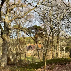 Särö Västerskog Nature Reserve - Kungsbacka