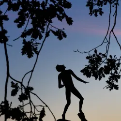 Lidingö Museum - Lidingo