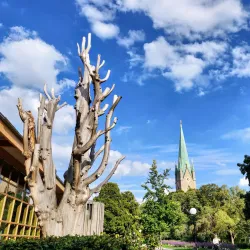 Linköping City Library - Linkoping