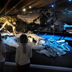 Swedish Air Force Museum - Linkoping