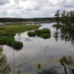 Tinnerö Eklandskap Nature Reserve - Linkoping