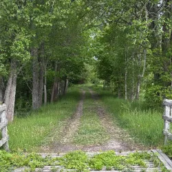 Tinnerö Eklandskap Nature Reserve - Linkoping
