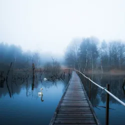 Tinnerö Eklandskap Nature Reserve - Linkoping