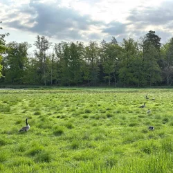 Tinnerö Eklandskap Nature Reserve - Linkoping