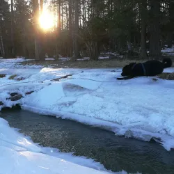 Tinnerö Eklandskap Nature Reserve - Linkoping