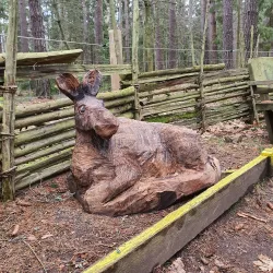 Valla Wood Nature Reserve - Linkoping