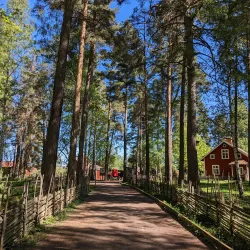Valla Wood Nature Reserve - Linkoping