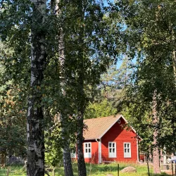 Valla Wood Nature Reserve - Linkoping