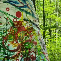 Haganäs Nature Reserve - Älmhult