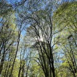 Haganäs Nature Reserve - Älmhult