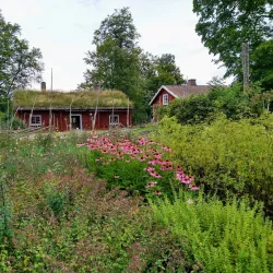 Linnés Råshult - Älmhult