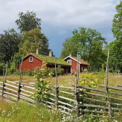 Linnés Råshult - Älmhult