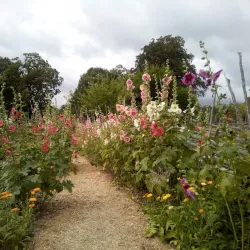 Linnés Råshult - Älmhult