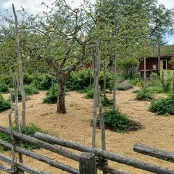 Linnés Råshult - Älmhult