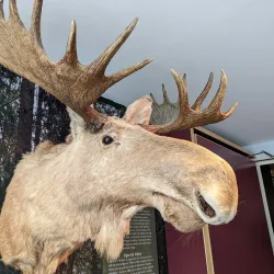 Smålands Museum - Älmhult