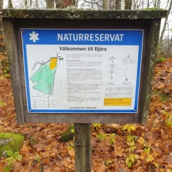 Björka Nature Reserve - Lomma