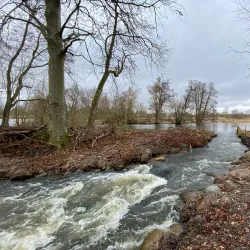 Kävlingeån River Walk - Lomma