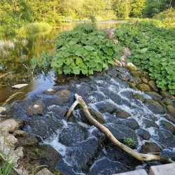 Kävlingeån River Walk - Lomma