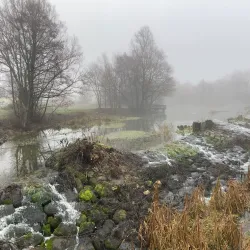 Kävlingeån River Walk - Lomma