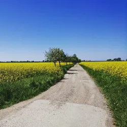 Lomma Golf Club - Lomma