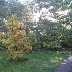 Lomma Golf Club - Lomma