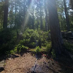 Bergslagsleden Trail - Ludvika
