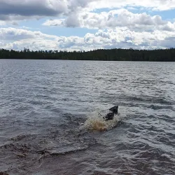Bergslagsleden Trail - Ludvika