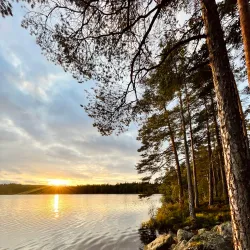 Bergslagsleden Trail - Ludvika