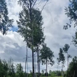 Bergslagsleden Trail - Ludvika