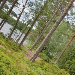 Bergslagsleden Trail - Ludvika