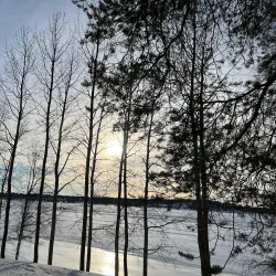 Gültzauudden Nature Reserve - Lulea