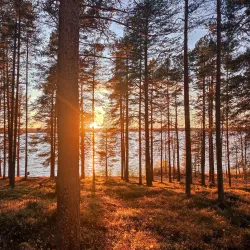 Gültzauudden Nature Reserve - Lulea