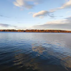 Gültzauudden Nature Reserve - Lulea