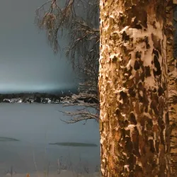Gültzauudden Nature Reserve - Lulea