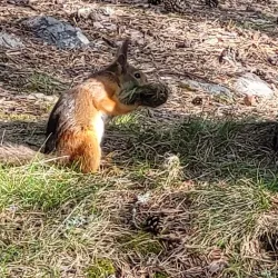 Gültzauudden Nature Reserve - Lulea