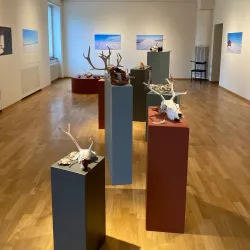 Norrbotten Museum - Lulea