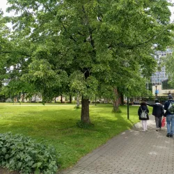 Stadsparken (City Park) - Lulea