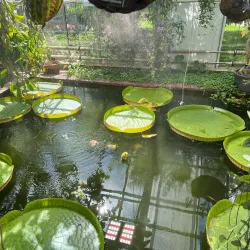 Botanical Garden (Botaniska trädgården) - Lund